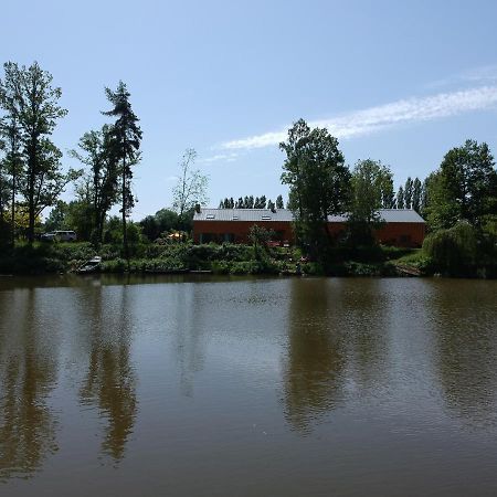 Florennes Gite Neuf 150 M2 Devant Un Grand Lac Prive De 2 Hectares Poissonneux Au Milieu Des Bois Exterior photo