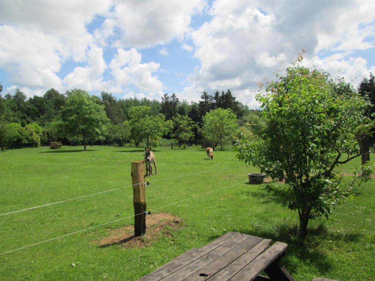 Florennes Gite Neuf 150 M2 Devant Un Grand Lac Prive De 2 Hectares Poissonneux Au Milieu Des Bois Exterior photo