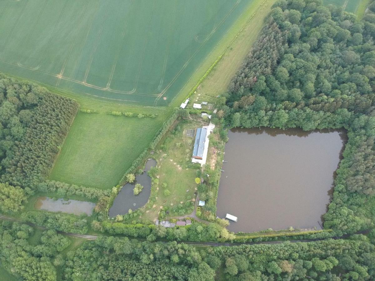 Florennes Gite Neuf 150 M2 Devant Un Grand Lac Prive De 2 Hectares Poissonneux Au Milieu Des Bois Exterior photo