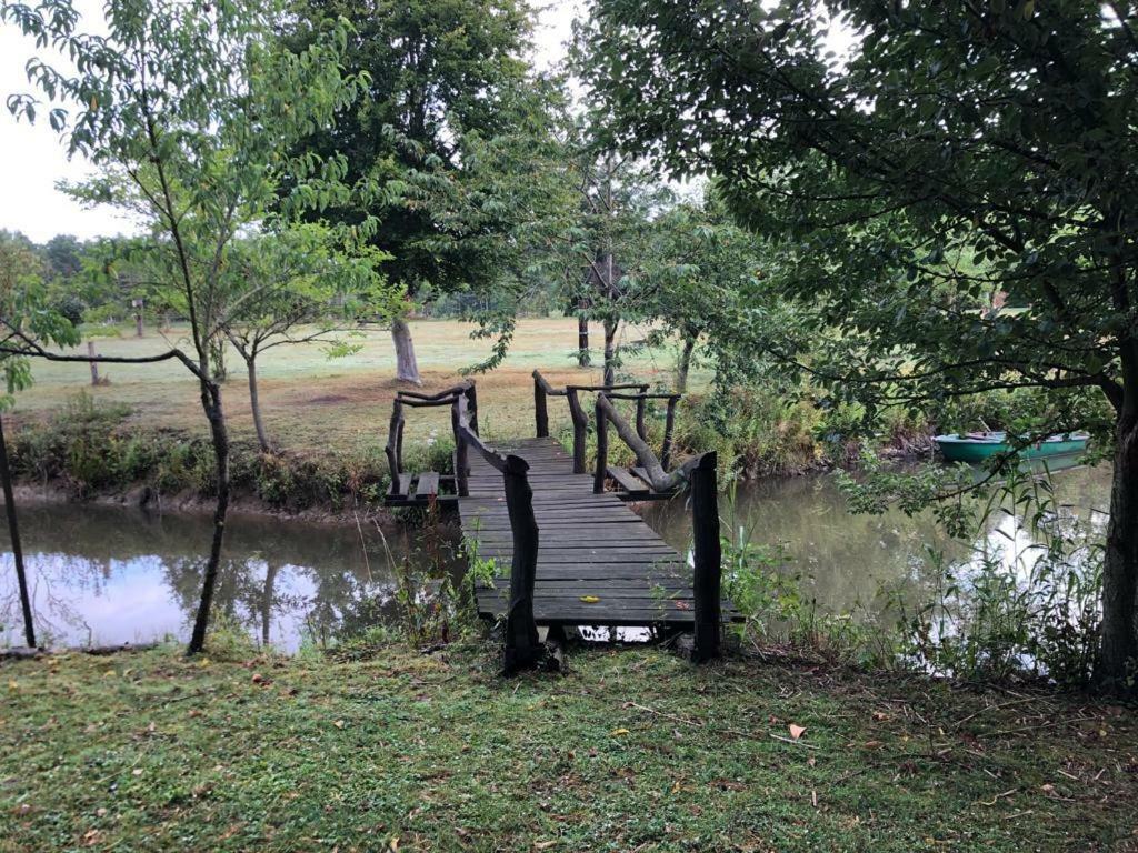 Florennes Gite Neuf 150 M2 Devant Un Grand Lac Prive De 2 Hectares Poissonneux Au Milieu Des Bois Exterior photo