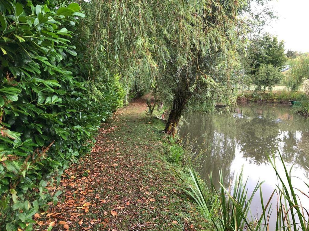 Florennes Gite Neuf 150 M2 Devant Un Grand Lac Prive De 2 Hectares Poissonneux Au Milieu Des Bois Exterior photo